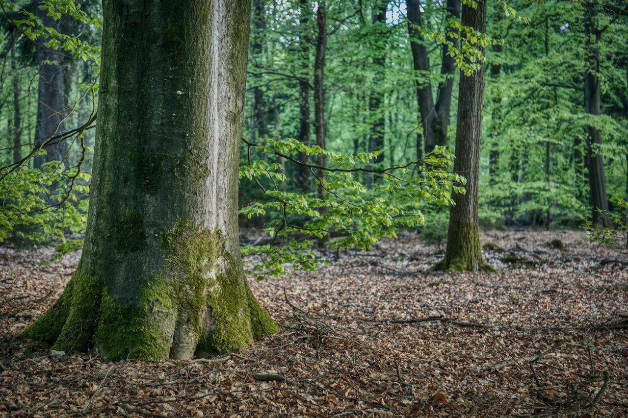 Van Abelshoeve Gieterveen エクステリア 写真